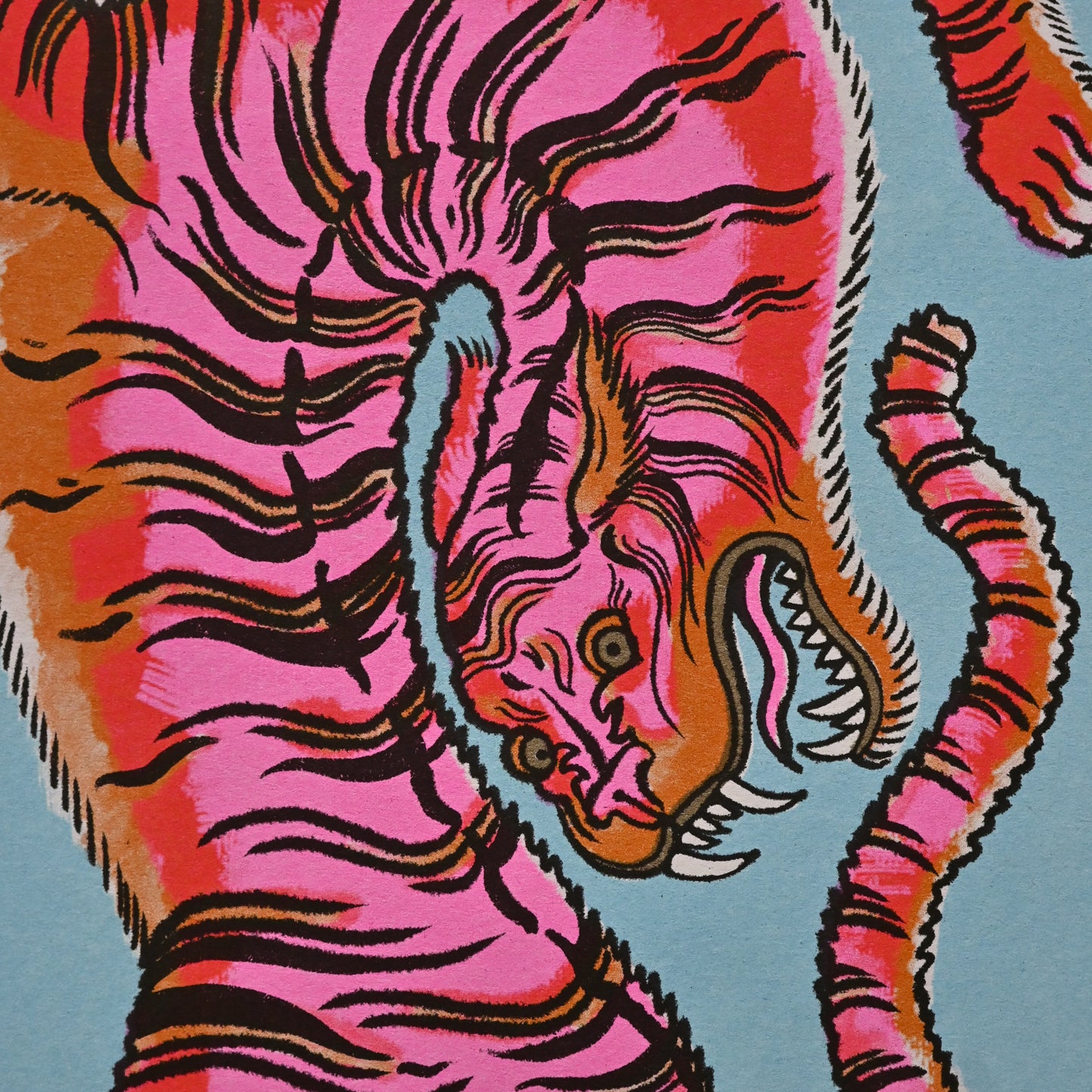 Eye of the tiger