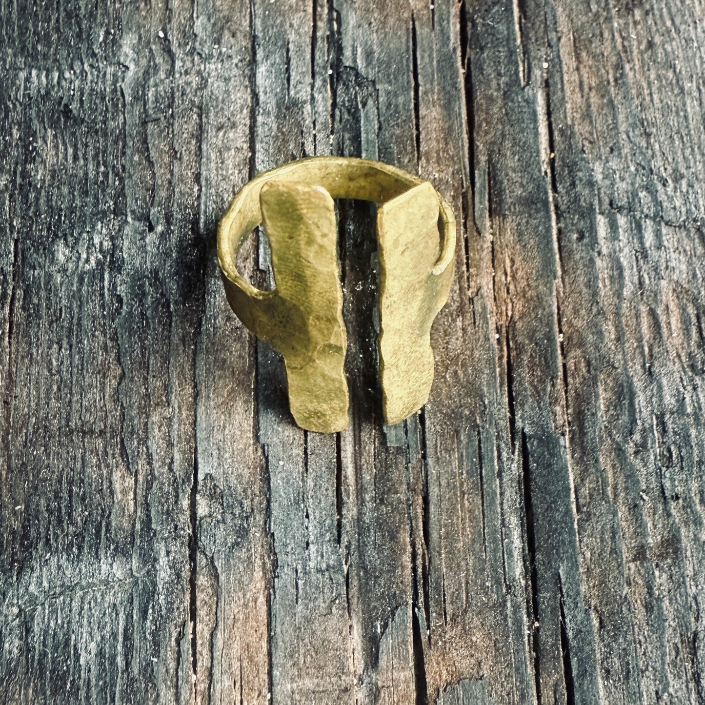 Hatshepsut’s rings