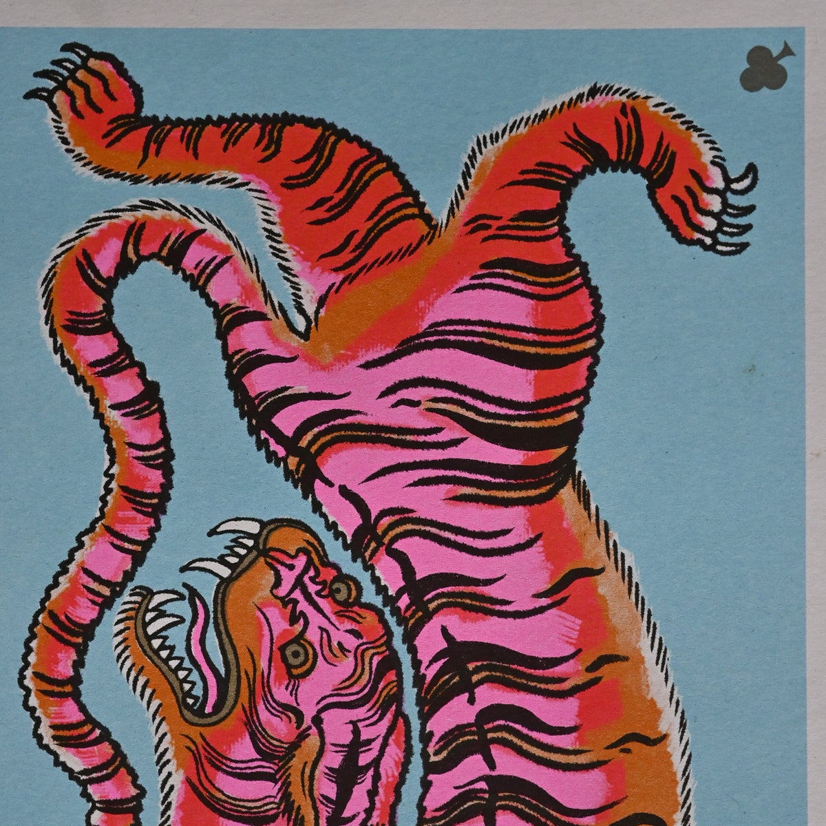 Eye of the tiger