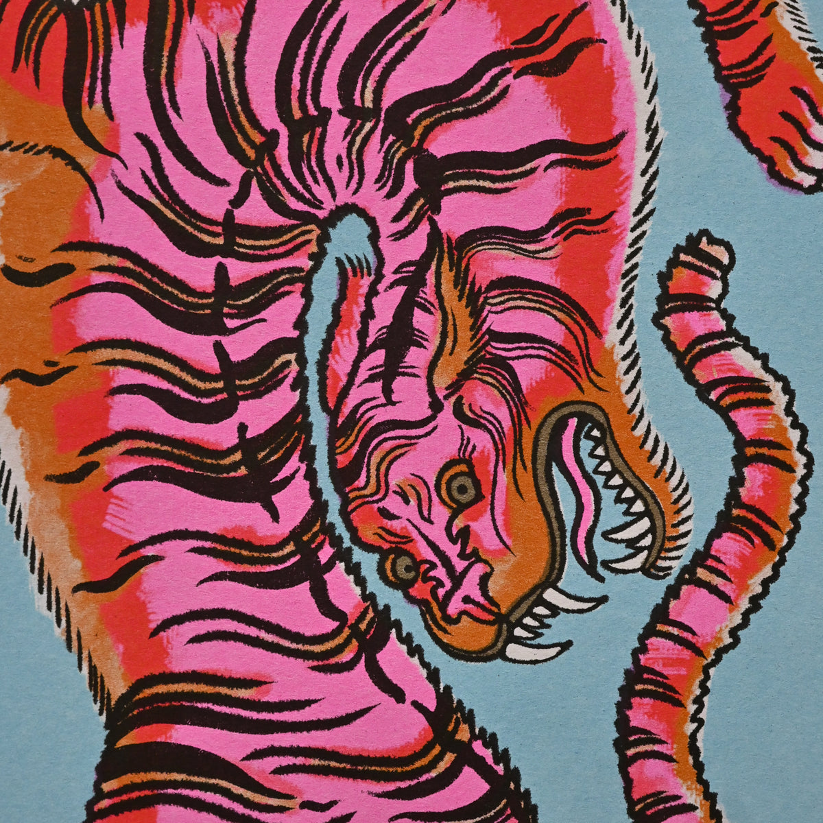 Eye of the tiger