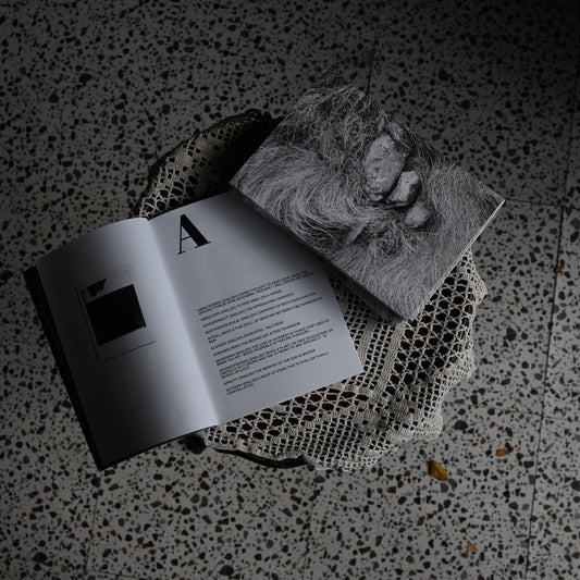 Abstract Interpretations