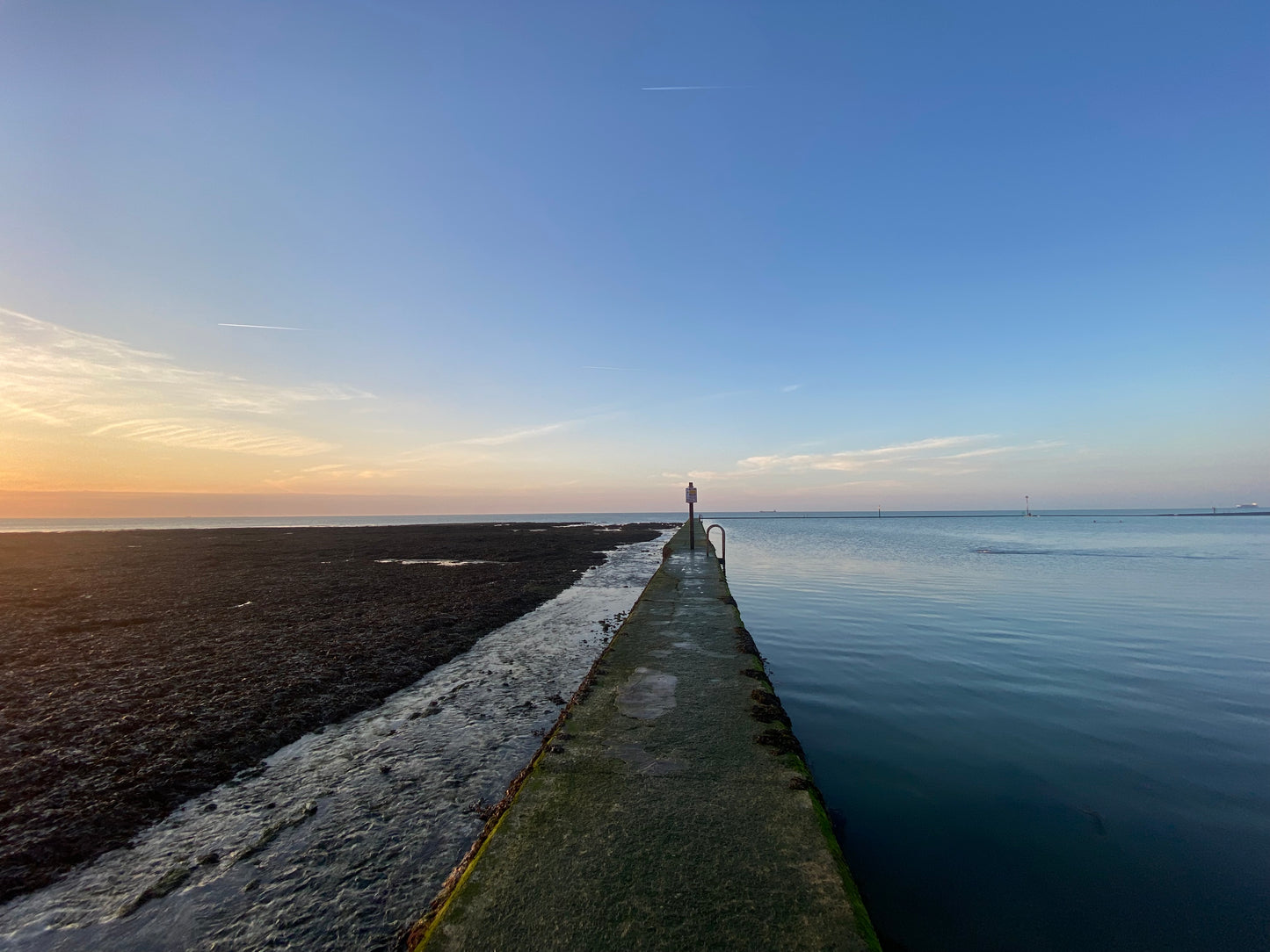 Tidal Pool Rings