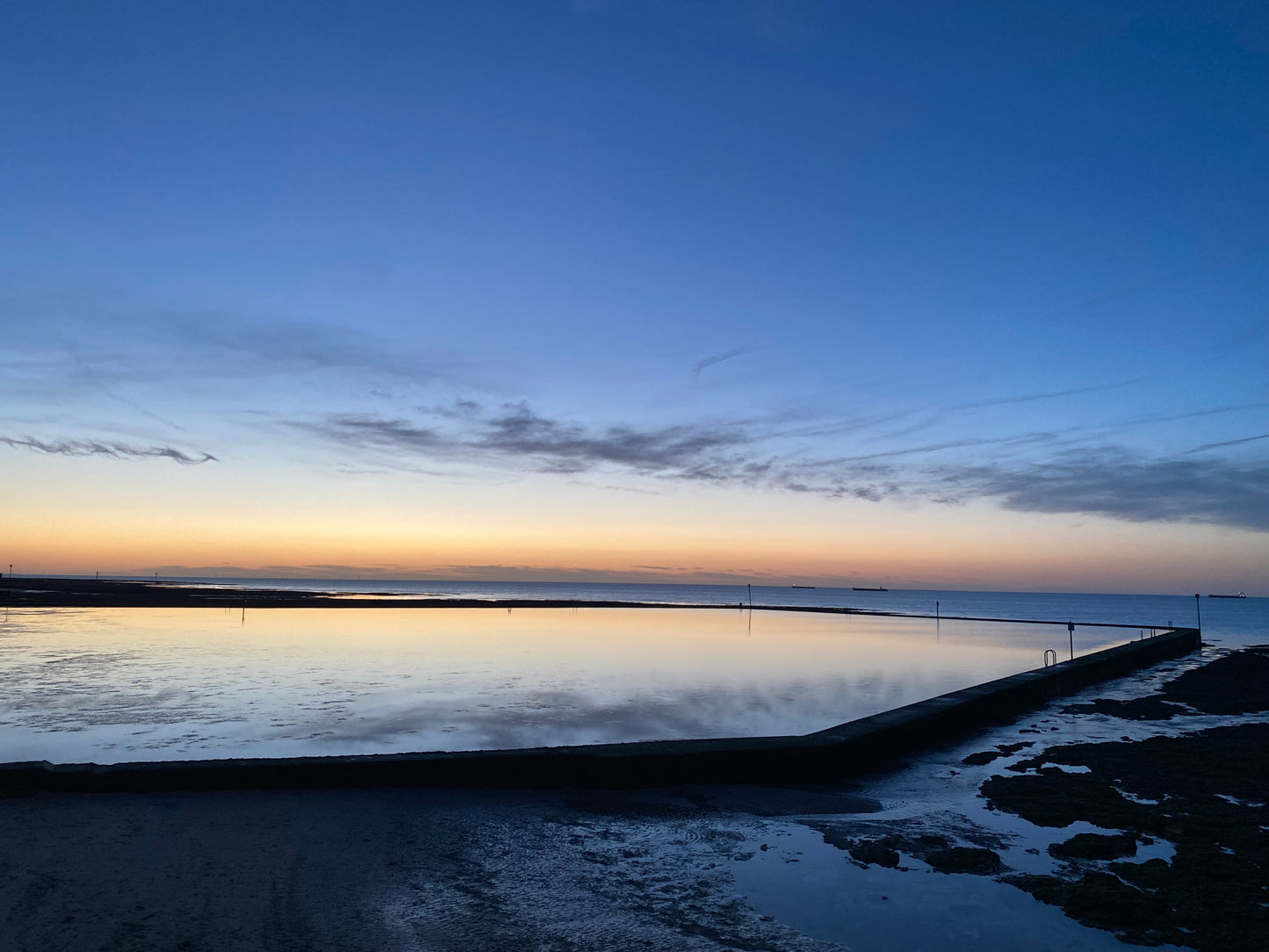 Tidal Pool Rings