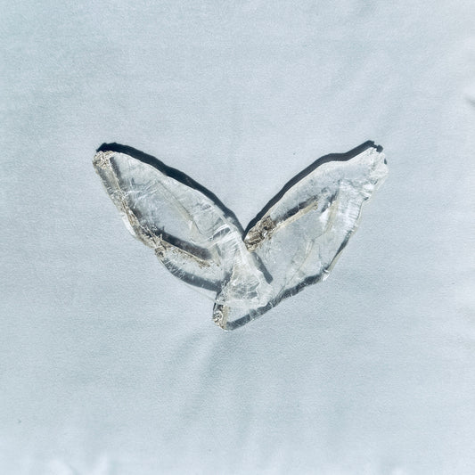 Battle Selenite
