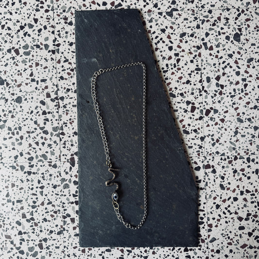Insights of the Nāgá