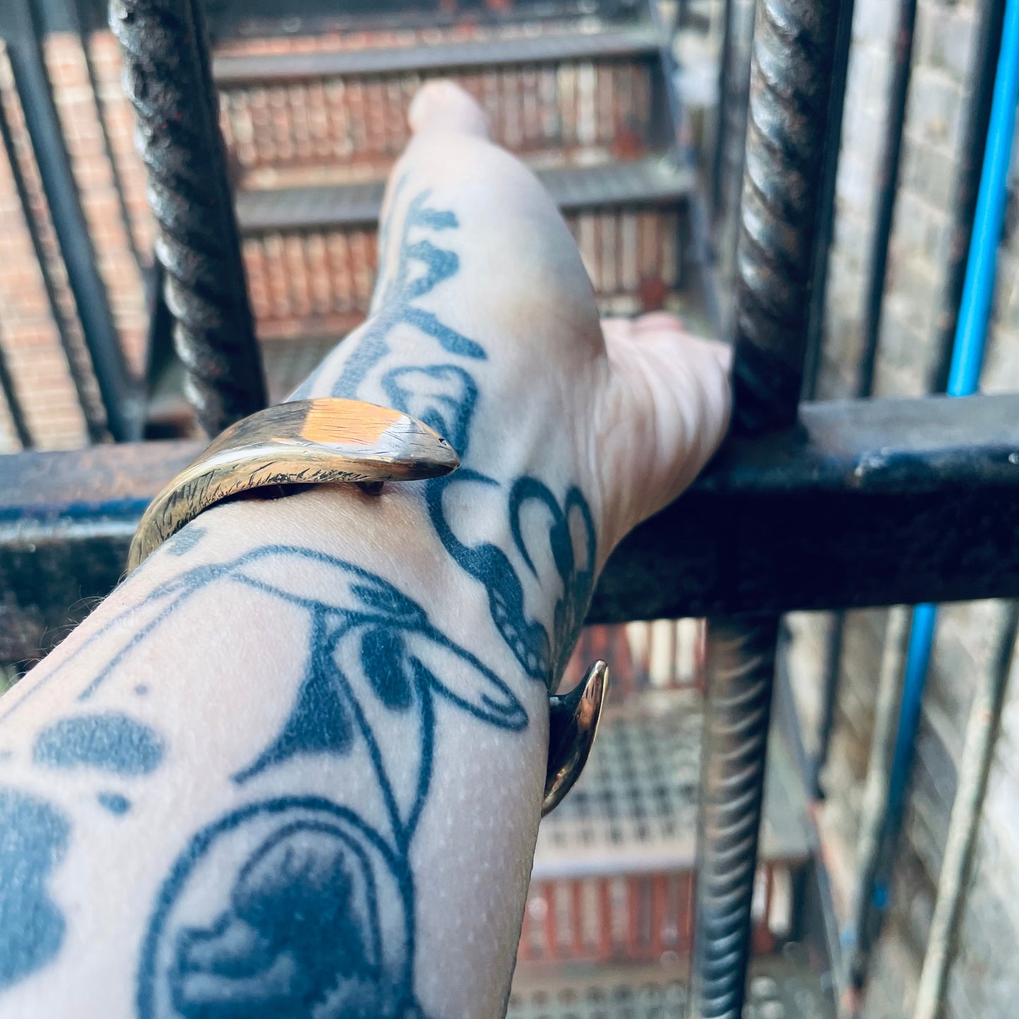 The Nightingale and the Rose - Smith & Sun