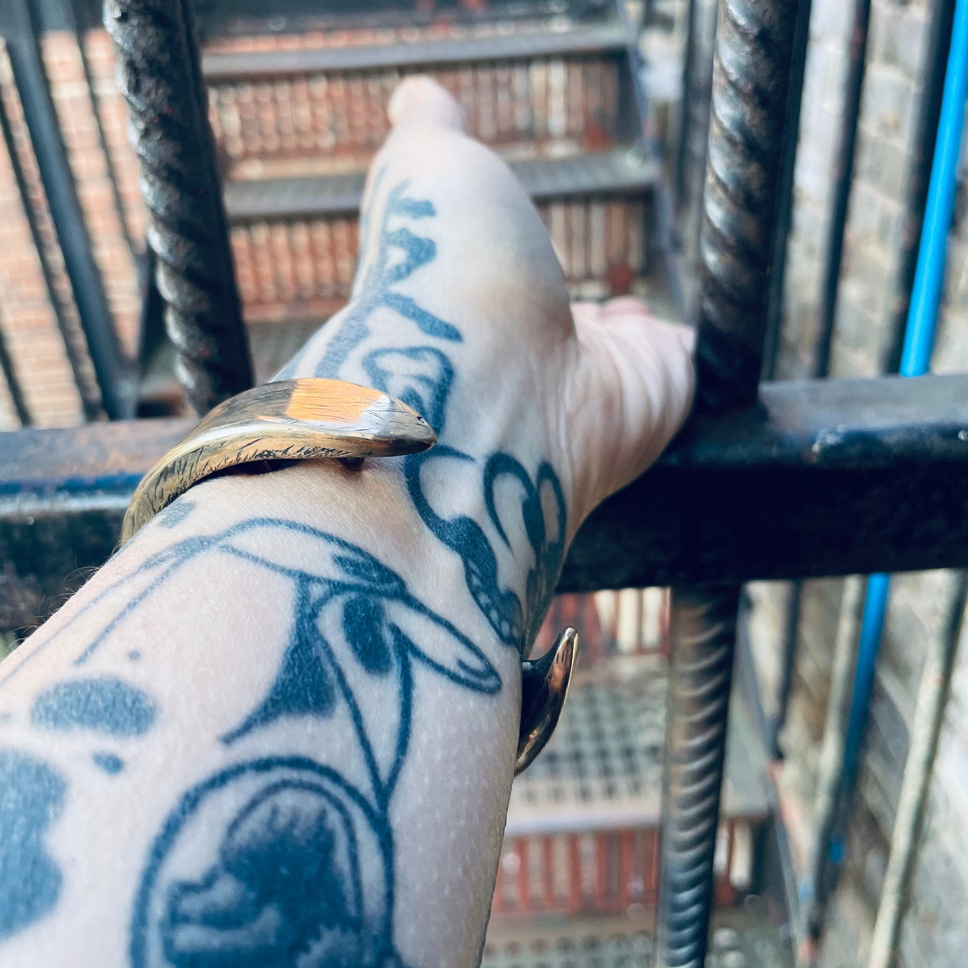 The Nightingale and the Rose - Smith & Sun