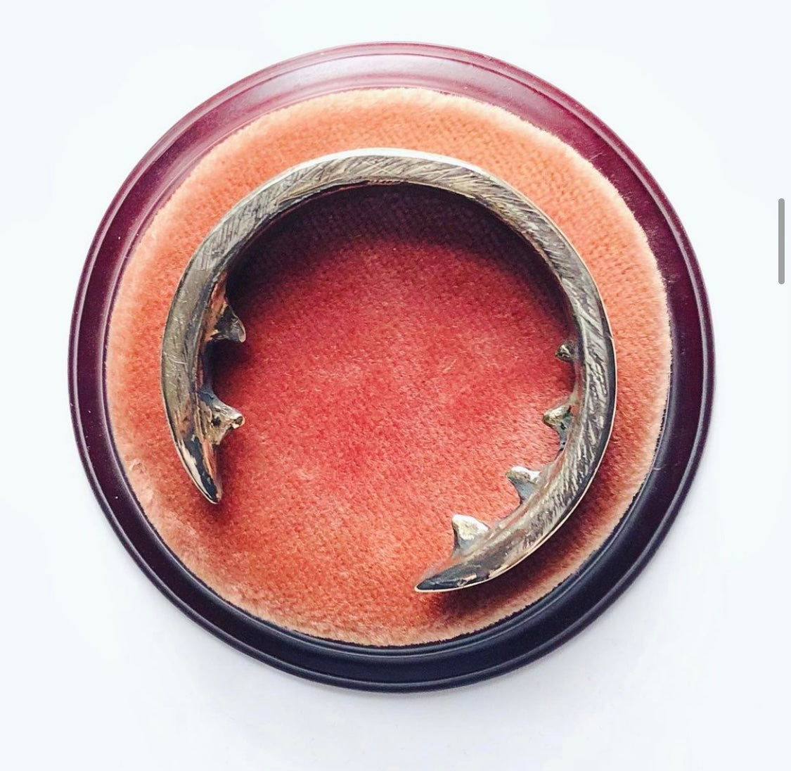 The Nightingale and the Rose - Smith & Sun